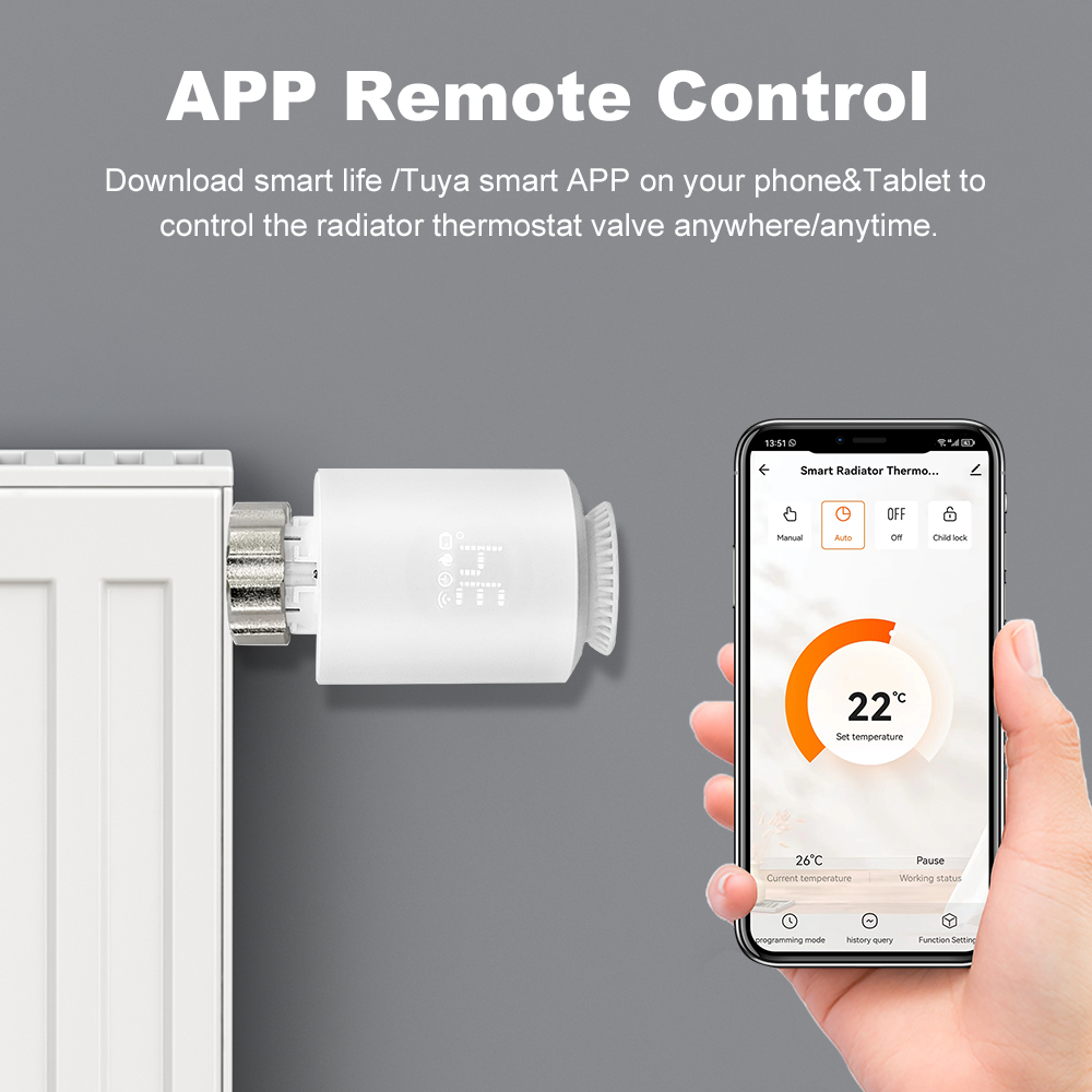 Smart ZigBee.30 TRV Thermostat – Smart Home Yandex Bewertung und Preis
