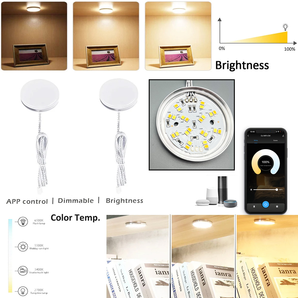 Zigbee 3.0 Runde Dual-LED-Unte – Alexa Compatible Bulb Bewertung und Preis